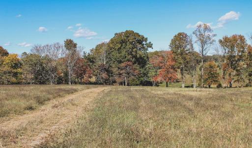 Photo #10 of Lot 14 BRIERY CREEK RD, SCOTTSVILLE, VA 24.0 acres