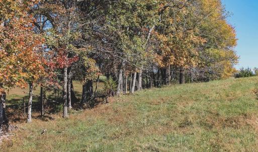 Photo #41 of Lot 14 BRIERY CREEK RD, SCOTTSVILLE, VA 24.0 acres