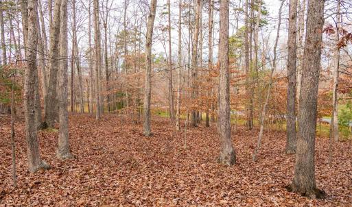 Photo #15 of Lot 34 KESWICK LN, KESWICK, VA 2.5 acres