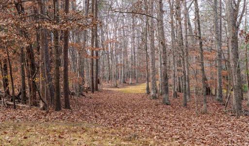 Photo #13 of Lot 34 KESWICK LN, KESWICK, VA 2.5 acres