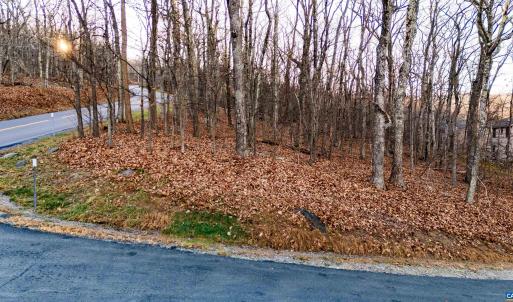 Photo #1 of 23 NORTH ROCK TREE LN, WINTERGREEN RESORT, VA 0.6 acres
