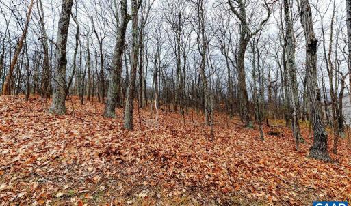 Photo #4 of 23 NORTH ROCK TREE LN, WINTERGREEN RESORT, VA 0.6 acres