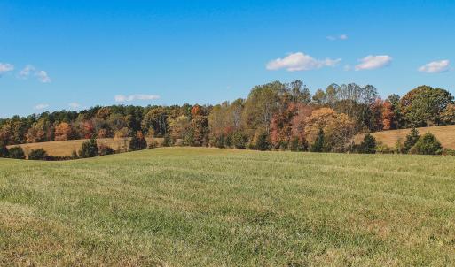 Photo #13 of Lot 13 BRIERY CREEK RD, SCOTTSVILLE, VA 14.4 acres