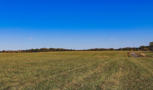 Photo #20 of Lot 13 BRIERY CREEK RD, SCOTTSVILLE, VA 14.4 acres