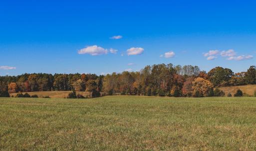 Photo #16 of Lot 13 BRIERY CREEK RD, SCOTTSVILLE, VA 14.4 acres