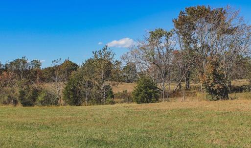 Photo #17 of Lot 13 BRIERY CREEK RD, SCOTTSVILLE, VA 14.4 acres