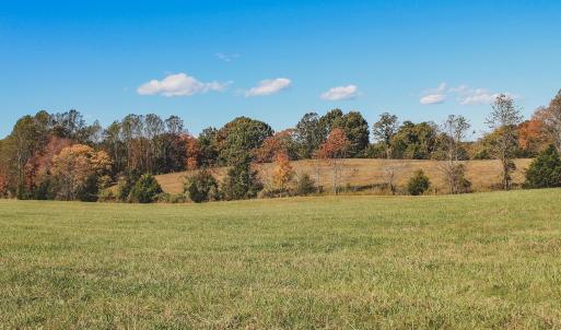 Photo #14 of Lot 13 BRIERY CREEK RD, SCOTTSVILLE, VA 14.4 acres