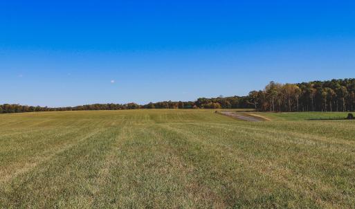 Photo #19 of Lot 13 BRIERY CREEK RD, SCOTTSVILLE, VA 14.4 acres