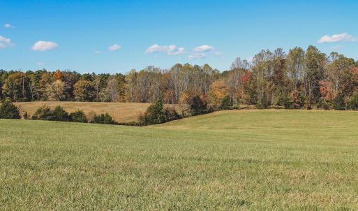 Photo #15 of Lot 13 BRIERY CREEK RD, SCOTTSVILLE, VA 14.4 acres