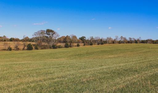 Photo #18 of Lot 13 BRIERY CREEK RD, SCOTTSVILLE, VA 14.4 acres