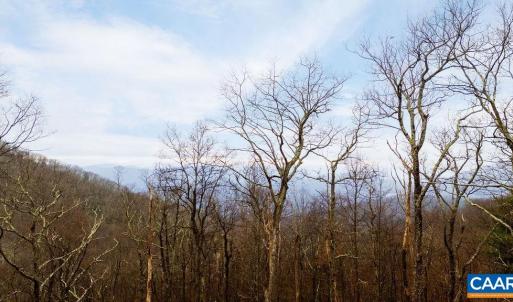 Photo #2 of 63 GUMTREE RD, WINTERGREEN RESORT, VA 0.6 acres