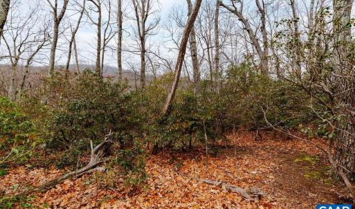 Photo #7 of 63 GUMTREE RD, WINTERGREEN RESORT, VA 0.6 acres