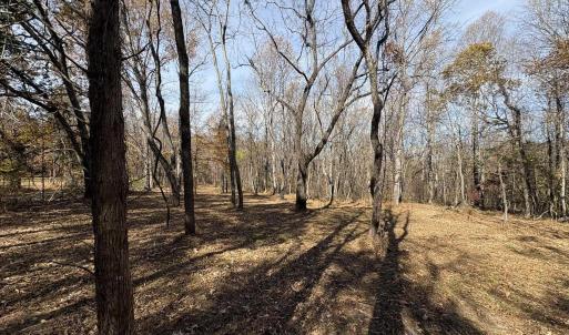 Photo #12 of Parcel F DULWICH DR, AMHERST, VA 5.1 acres