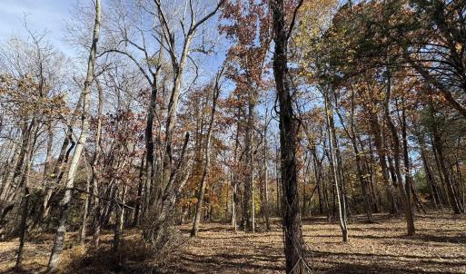 Photo #16 of Parcel F DULWICH DR, AMHERST, VA 5.1 acres