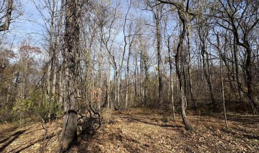 Photo #9 of Parcel F DULWICH DR, AMHERST, VA 5.1 acres