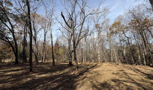 Photo #11 of Parcel F DULWICH DR, AMHERST, VA 5.1 acres