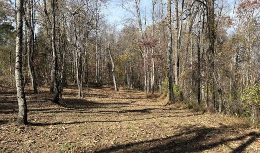 Photo #8 of Parcel F DULWICH DR, AMHERST, VA 5.1 acres