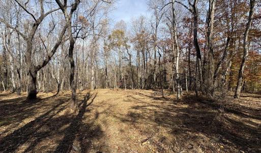 Photo #14 of Parcel F DULWICH DR, AMHERST, VA 5.1 acres