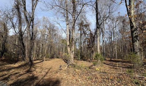 Photo #18 of Parcel F DULWICH DR, AMHERST, VA 5.1 acres