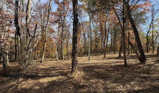 Photo #15 of Parcel F DULWICH DR, AMHERST, VA 5.1 acres