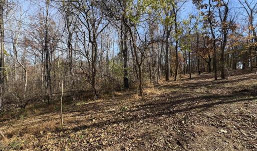 Photo #10 of Parcel F DULWICH DR, AMHERST, VA 5.1 acres