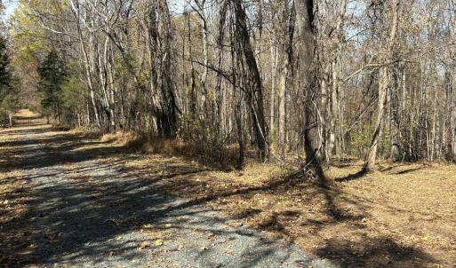 Photo #3 of Parcel F DULWICH DR, AMHERST, VA 5.1 acres