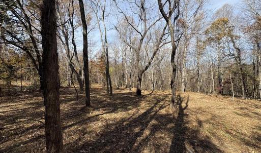 Photo #13 of Parcel F DULWICH DR, AMHERST, VA 5.1 acres