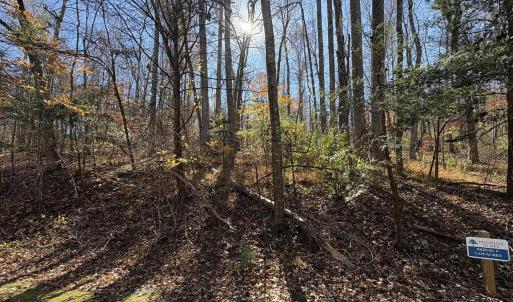 Photo #6 of Parcel F DULWICH DR, AMHERST, VA 5.1 acres