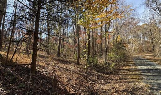 Photo #7 of Parcel F DULWICH DR, AMHERST, VA 5.1 acres
