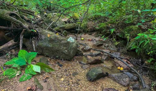 Photo #15 of TBD RIDGE ST, LOVINGSTON, VA 49.3 acres