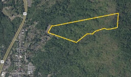 Photo #32 of TBD RIDGE ST, LOVINGSTON, VA 49.3 acres