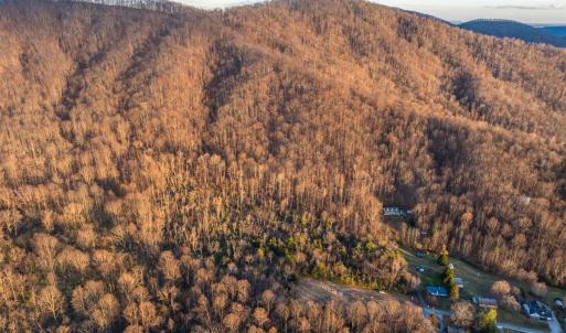 Photo #7 of TBD RIDGE ST, LOVINGSTON, VA 49.3 acres