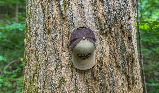 Photo #13 of TBD RIDGE ST, LOVINGSTON, VA 49.3 acres