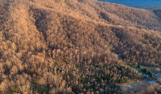 Photo #8 of TBD RIDGE ST, LOVINGSTON, VA 49.3 acres