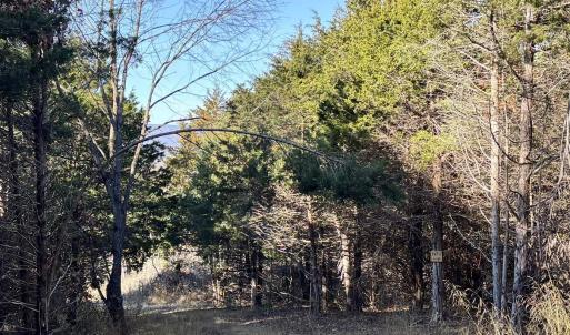 Photo #14 of HARPER VALLEY RD, LURAY, VA 8.2 acres