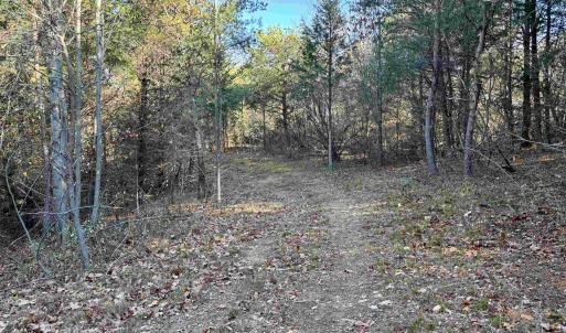 Photo #13 of HARPER VALLEY RD, LURAY, VA 8.2 acres