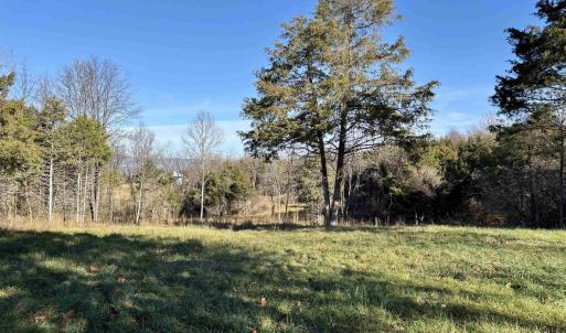 Photo #10 of HARPER VALLEY RD, LURAY, VA 8.2 acres