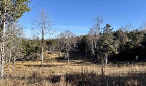 Photo #9 of HARPER VALLEY RD, LURAY, VA 8.2 acres