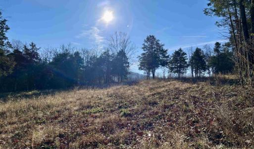 Photo #17 of HARPER VALLEY RD, LURAY, VA 8.2 acres
