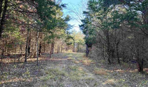 Photo #11 of HARPER VALLEY RD, LURAY, VA 8.2 acres