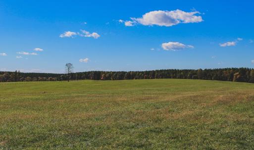 Photo #6 of Lot 12 BRIERY CREEK RD, SCOTTSVILLE, VA 10.2 acres