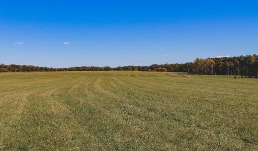 Photo #14 of Lot 12 BRIERY CREEK RD, SCOTTSVILLE, VA 10.2 acres