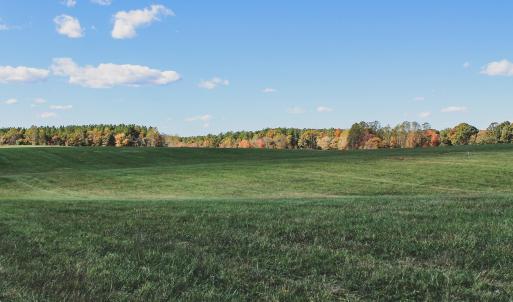 Photo #13 of Lot 12 BRIERY CREEK RD, SCOTTSVILLE, VA 10.2 acres