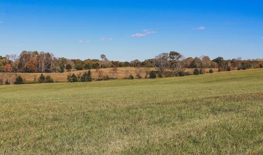 Photo #11 of Lot 12 BRIERY CREEK RD, SCOTTSVILLE, VA 10.2 acres