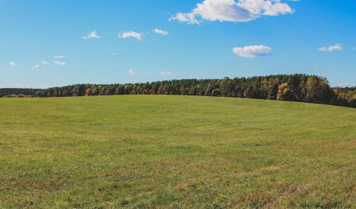 Photo #12 of Lot 12 BRIERY CREEK RD, SCOTTSVILLE, VA 10.2 acres