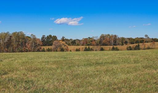 Photo #10 of Lot 12 BRIERY CREEK RD, SCOTTSVILLE, VA 10.2 acres