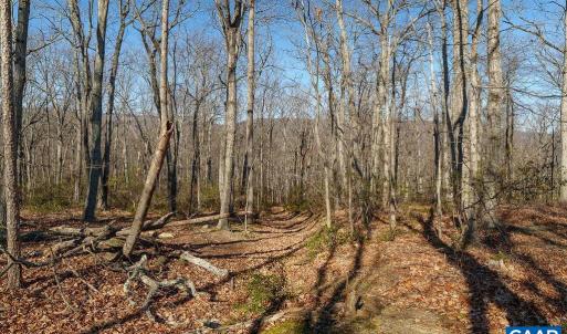 Photo #12 of Lot 2 HANDLEY WAY, AFTON, VA 22.0 acres