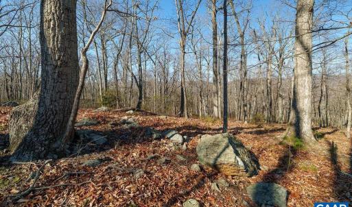 Photo #11 of Lot 2 HANDLEY WAY, AFTON, VA 22.0 acres