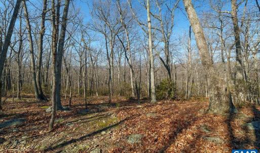 Photo #10 of Lot 2 HANDLEY WAY, AFTON, VA 22.0 acres