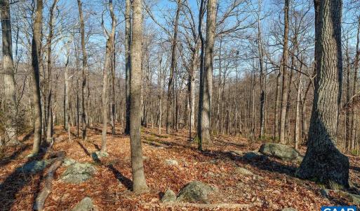 Photo #6 of Lot 2 HANDLEY WAY, AFTON, VA 22.0 acres